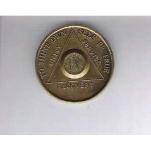  Anonymous AA 4 Year Chip Token Medal Medallion 