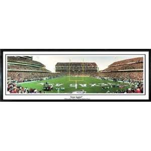  Texas A&M Aggies Everlasting Images Unframed Everything 