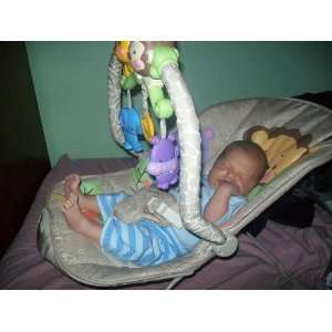  Fisher Price Precious Planet Playtime Bouncer Baby