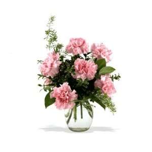  Telefloras Pink Notion Vase