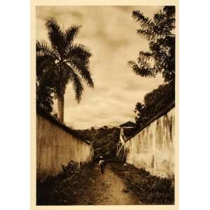  1925 Road Cuernavaca Mexico Hugo Brehme Photogravure 