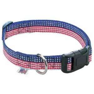  The Patriot Collar   1 inch