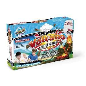  Interplay Wild Science Volcano Factory Toys & Games