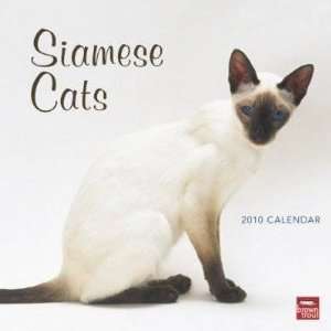  Siamese Cats 2010 Wall Calendar