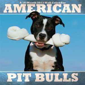  American Pit Bulls 2013 Wall Calendar