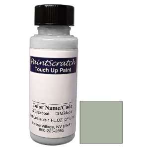  1 Oz. Bottle of Gray Touch Up Paint for 1960 Mercedes Benz 
