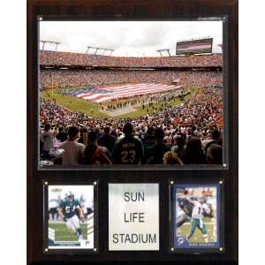  NFL Sun Life Stadium Plaque