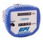 GPI TM400   Economy Digital Water Flow Meter (60 600 GPM)