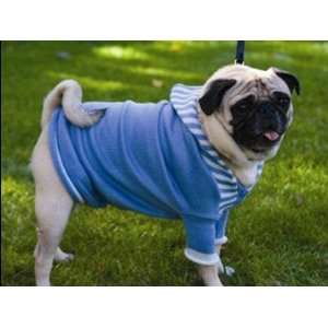  PetRageous Sukis Stripes Hooded Dog Sweater BLUE XS 