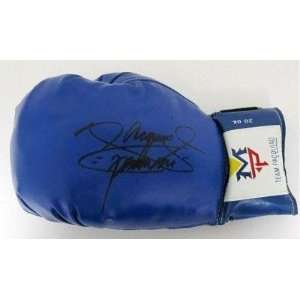   Boxing Glove 1 SI/Proof   Autographed Boxing Gloves 