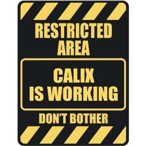   RESTRICTED AREA CALIX IS WORKING  PARKING SIGN