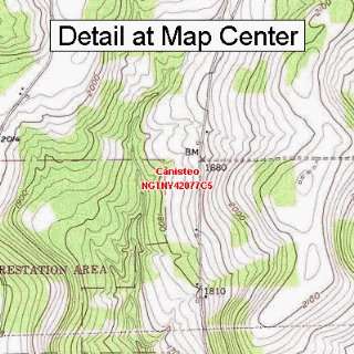  USGS Topographic Quadrangle Map   Canisteo, New York 