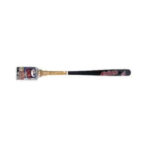   Indians Wood Bat & Soft Strike Baseball Set