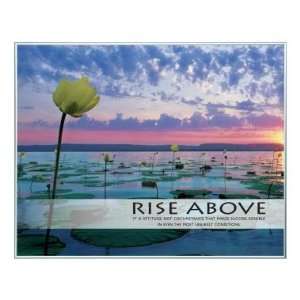  Successories Rise Above Lily Pads Unmatted Framed 