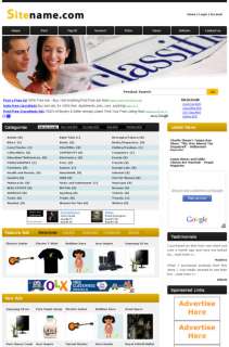 Established Money Making Classified Website Business  
