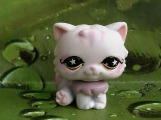 LITTLEST PET SHOP Persian Kitty Cat Star Eyes #891  