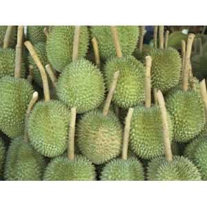 Durian Fruit Piled Up for Sale in Bangkok, Thailand, Southeast Asia 