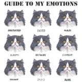 Guide To My Emotions Cat Faces Cat Shirt Cat T Shirts Tee Hoodie Kitty 