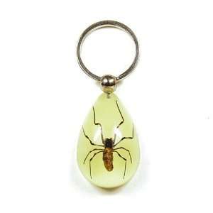   East YK610 Real Bug Key Chain Tear Drop Shape Glow in the Dark Spider