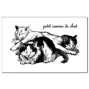  Petit Somme de Chat   Cat Nap Pets Mini Poster Print by 