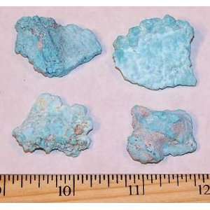  Sonoran Desert Turquoise Wafers (1/2   7/8)   1pc 