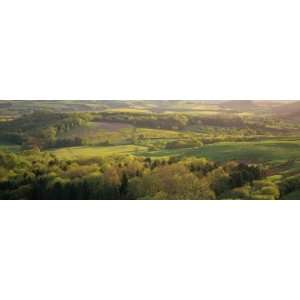  View over Lush Green Countryside and Farmland Near Dorchester 