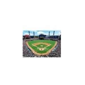  Chicago White Sox Stadium Puzzle 100 piece Toys & Games