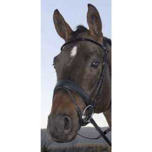 Vespucci Rolled Leather Snaffle Bridle