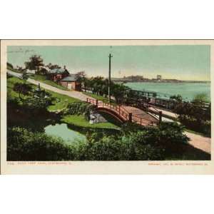  Reprint Lake View Park, Cleveland, O 1901 