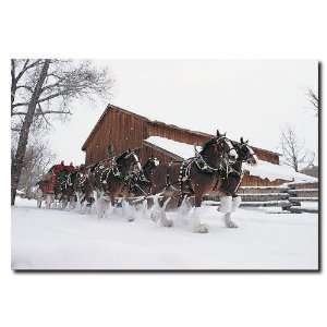  Best Quality Clydesdales   Snowing in front of Barn 