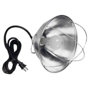   Lamp, 10Aluminum Reflector, 8, 8/2 SJT Cord