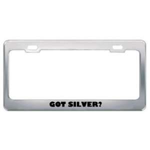  Got Silver? Last Name Metal License Plate Frame Holder 