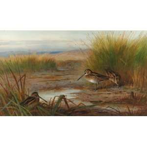  FRAMED oil paintings   Archibald Thorburn   24 x 14 inches 