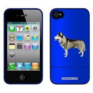  Siberian Husky on Verizon iPhone 4 Case by Coveroo  
