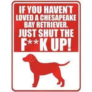  New  If U Havent Loved A Chesapeake Bay Retriever , Just Shut 