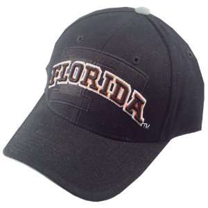  Florida Gators Black Front Runner Hat