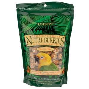   Tropical Fruit Nutri berries Conure Food 10 Oz.