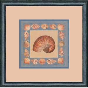  Coquillage 2 by Laurence David   Framed Artwork