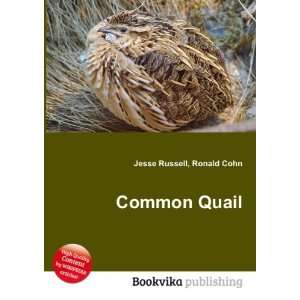  Common Quail Ronald Cohn Jesse Russell Books