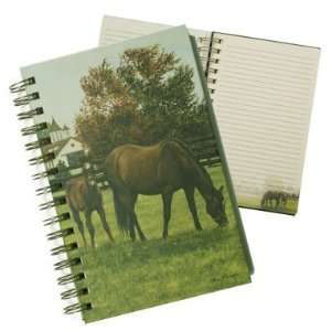  Mare and Foal Journal Toys & Games