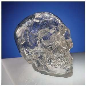  Xoticbrands Crystal Skull Sculpture