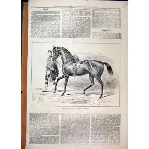   1884 Horse Duke Albany Charger Scottish Soldier Kilt