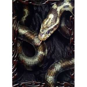  Spiral   Deadly Intentio, Snakes Wall Poster Print, 24x34 