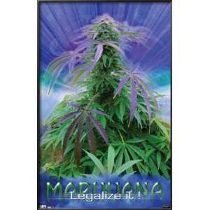  Marijuana   Legalize It Lamina Framed Poster Print, 23x35 
