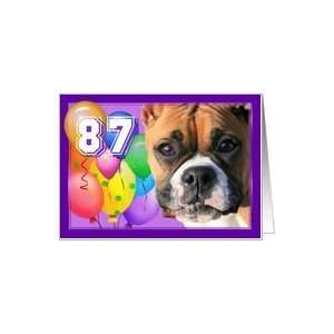  Happy 87th Birthday Boxer Dog Card Toys & Games
