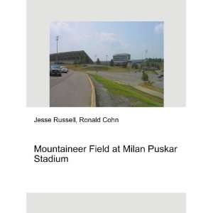  Mountaineer Field at Milan Puskar Stadium Ronald Cohn 
