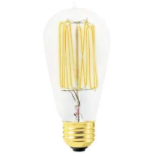 60 Watt Medium Base S16 Carbon Filament Edison Bulb (1910/SQUIRRELCAGE 