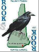 ROOK CARD GAME Photo Italian Charm black crow bird  