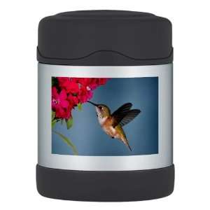    Thermos Food Jar Female Rufous Hummingbird 