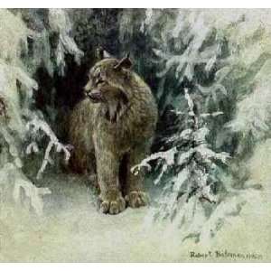  Robert Bateman   Lynx in Snow